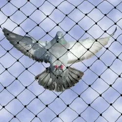 Bird netting installation