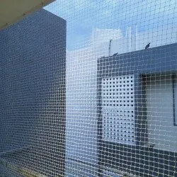 Bird netting service in Delhi
